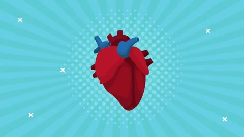 Anatomical human heart illustration beating on comic style sunburst backgro.. Stock Footage 339080929