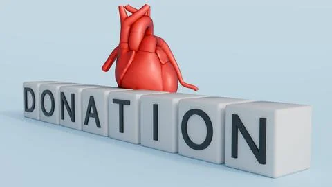 Anatomical human heart model and the blocks with the word "DONATION" Stock Illustration