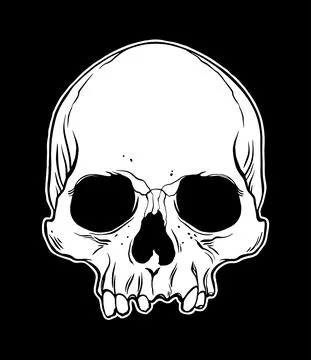 Anatomical Human Skull. Vector hand drawn illustration Ilustração Stock