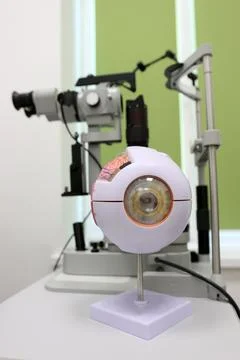 An anatomical model of the eye is placed in front of a slit lamp biomicroscop Stock Photos