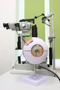 An anatomical model of the eye is placed in front of a slit lamp biomicroscop Stock Photos