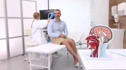 Anatomical model of human head with vascular structures and nerves in foregro Stock Footage 319929643