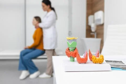 Anatomical model of thyroid gland on doctor's table, close-up. Endocrinolog.. Fotos Stock