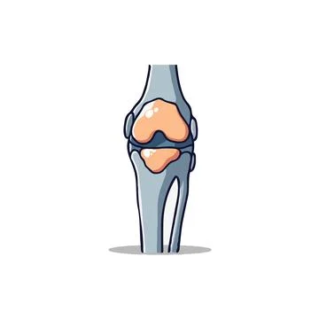 Anatomical rendering unveiling the intricate network and structural design .. Stock Illustration