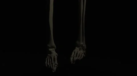 Anatomical Skeleton - Isolated Model on ... | Stock Video | Pond5