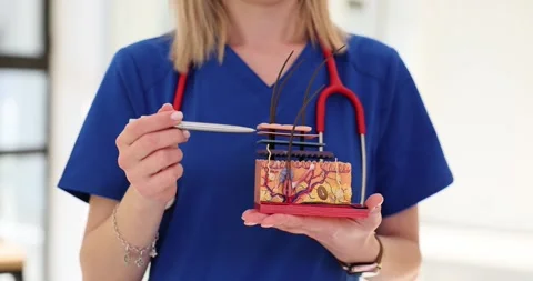 Anatomical skin model and interactive exploration of skin anatomy Stock Footage 272166894