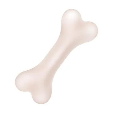 Anatomical Structure of a Human Bone in Vector Style. Stock Illustration