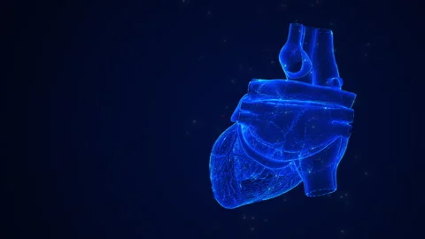 Anatomical Structure of the Human Heart Stock Footage 310110456
