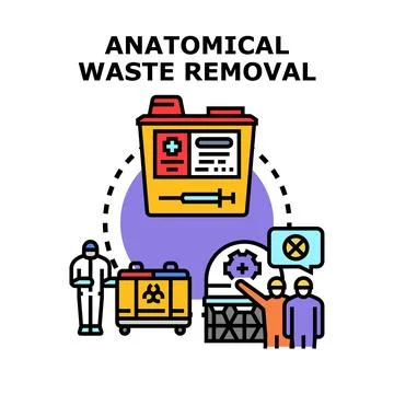 Anatomical waste removal process concept vector icon Stock Illustration