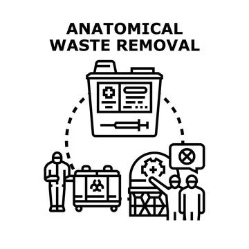 Anatomical waste removal process concept vector icon Stock Illustration