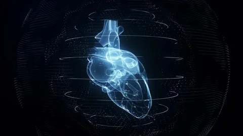 Anatomically correct blue digital human heart seamless loop with cardiac scan Stock Footage 126456087