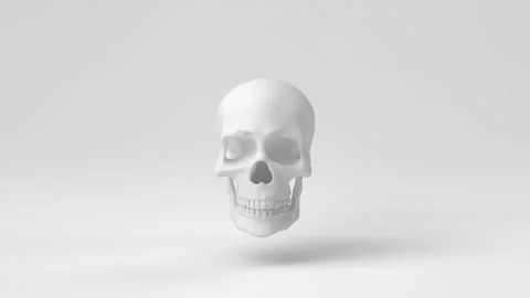 Anatomically correct human skulls. 3d render, 3d illustration. Stock Footage 168721335