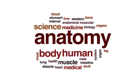 Anatomy animated word cloud, text design... | Stock Video | Pond5