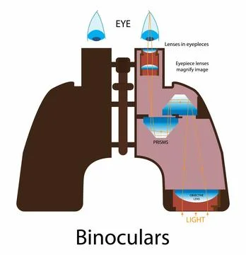 Anatomy of binoculars Stock Illustration