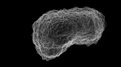 The anatomy,the brain and its waves, molecular lattice,loop rotation,alpha ch 스톡 동영상 44511043