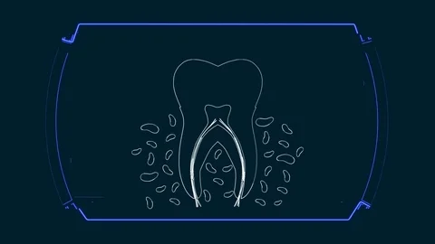 Anatomy diagram teeth 库存影片 111482511
