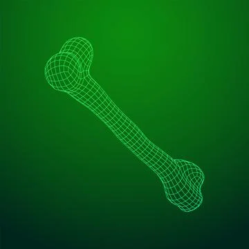 Anatomy Dog Bone object. Wireframe low poly mesh Stock Illustration
