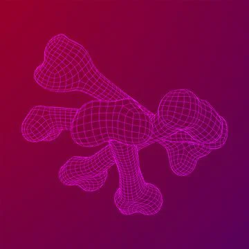 Anatomy Dog Bone object. Wireframe low poly mesh Stock Illustration