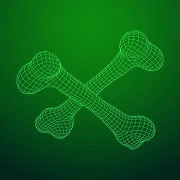 Anatomy Dog Bone object. Wireframe low poly mesh Stock Illustration