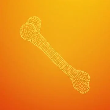 Anatomy Dog Bone object. Wireframe low poly mesh Stock Illustration