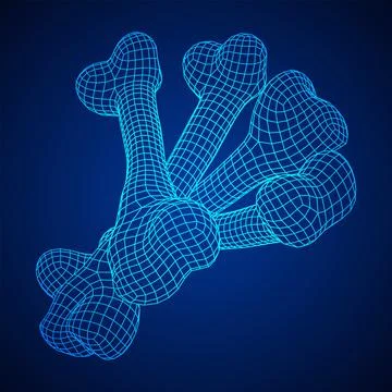 Anatomy Dog Bone object. Wireframe low poly mesh Stock Illustration