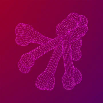 Anatomy Dog Bone object. Wireframe low poly mesh Stock Illustration