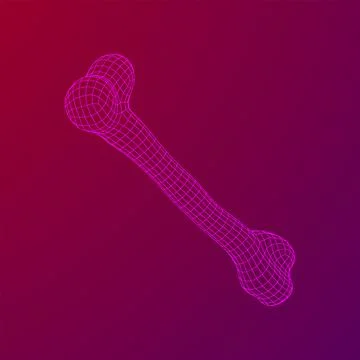 Anatomy Dog Bone object. Wireframe low poly mesh Stock Illustration