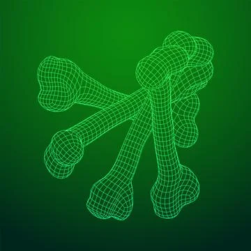 Anatomy Dog Bone object. Wireframe low poly mesh Stock Illustration