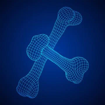 Anatomy Dog Bone object. Wireframe low poly mesh Stock Illustration