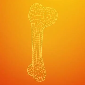 Anatomy Dog Bone object. Wireframe low poly mesh Stock Illustration