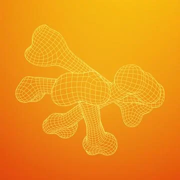 Anatomy Dog Bone object. Wireframe low poly mesh Stock Illustration