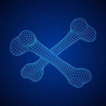 Anatomy Dog Bone object. Wireframe low poly mesh Stock Illustration