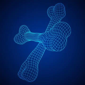 Anatomy Dog Bone object. Wireframe low poly mesh Stock Illustration