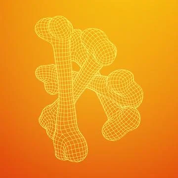 Anatomy Dog Bone object. Wireframe low poly mesh Stock Illustration