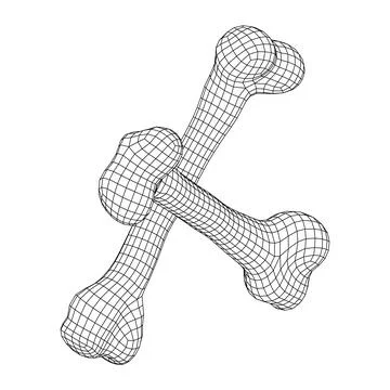 Anatomy Dog Bone object. Wireframe low poly mesh Stock Illustration
