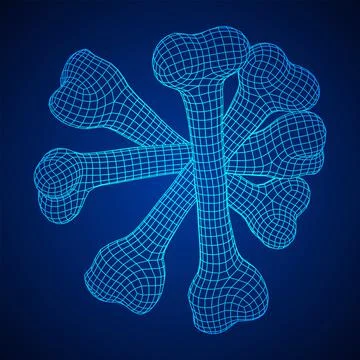 Anatomy Dog Bone object. Wireframe low poly mesh Stock Illustration