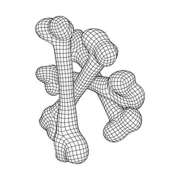 Anatomy Dog Bone object. Wireframe low poly mesh Stock Illustration