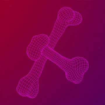 Anatomy Dog Bone object. Wireframe low poly mesh Stock Illustration