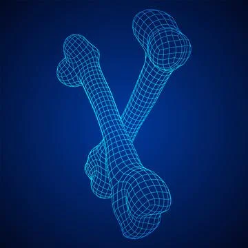 Anatomy Dog Bone object. Wireframe low poly mesh Stock Illustration