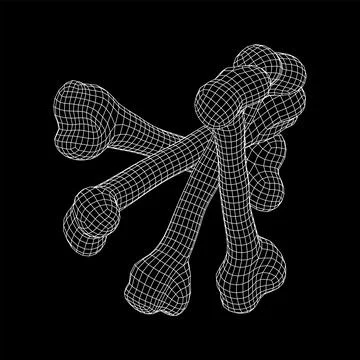 Anatomy Dog Bone object. Wireframe low poly mesh Stock Illustration