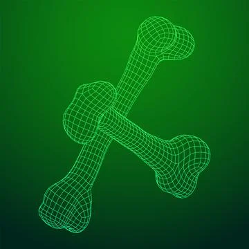 Anatomy Dog Bone object. Wireframe low poly mesh Stock-Illustration