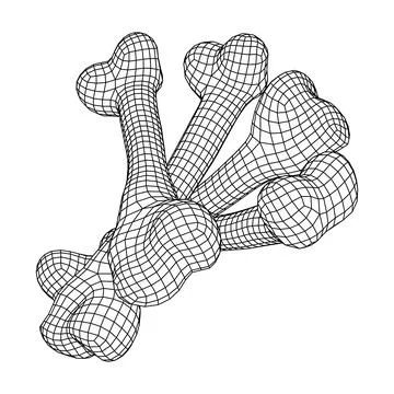 Anatomy Dog Bone object. Wireframe low poly mesh Stock Illustration