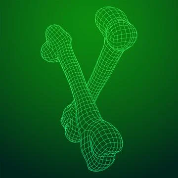 Anatomy Dog Bone object. Wireframe low poly mesh Stock Illustration