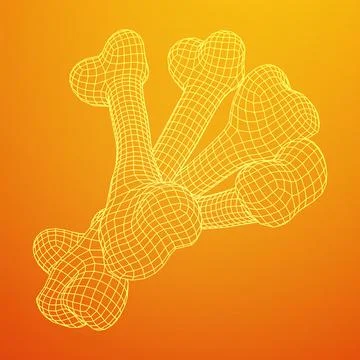 Anatomy Dog Bone object. Wireframe low poly mesh Stock Illustration