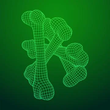 Anatomy Dog Bone object. Wireframe low poly mesh Stock Illustration