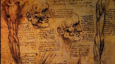 Anatomy Drawings Stock Footage 116752428