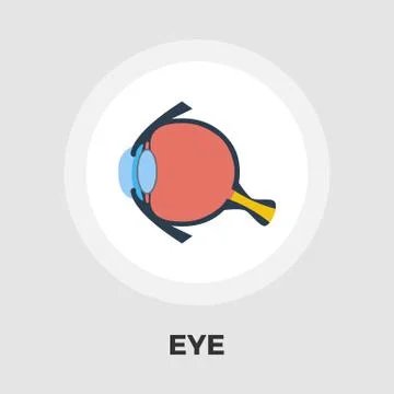 Anatomy eye flat icon Stock Illustration