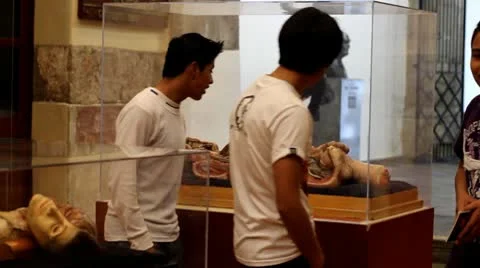 Anatomy 動画素材 10609375