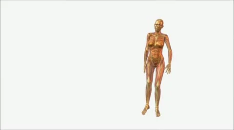 Anatomy Stock Footage 12484676