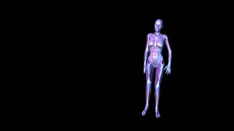 Anatomy Stock Footage 12484677